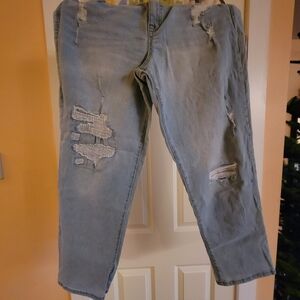 Terra & Sky Light Blue Boyfriend Jeans